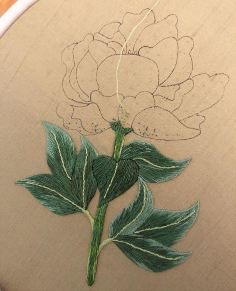 a hand-drawn outline of a peony on beige silk with the stem and leaves embroidered in green