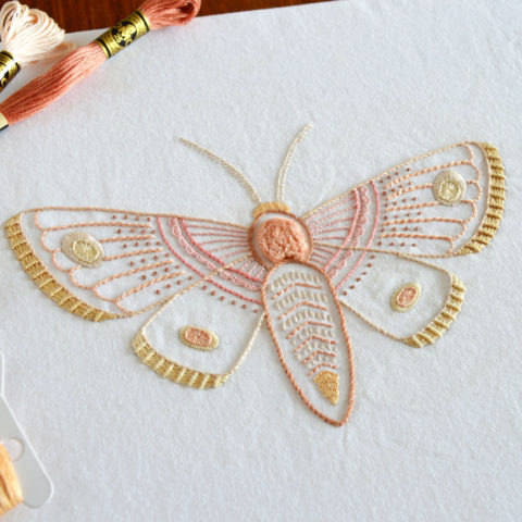 Anatomical Moth embroidery by Kelly Fletcher