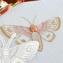 Anatomical Moth embroidery printed pattern by Kelly Fletcher