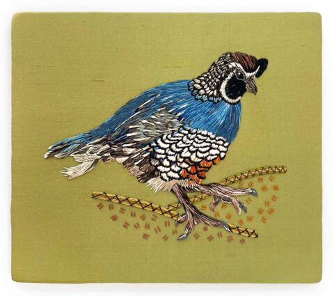 California Quail realistic thread painting embroidery by Elba Embroidery