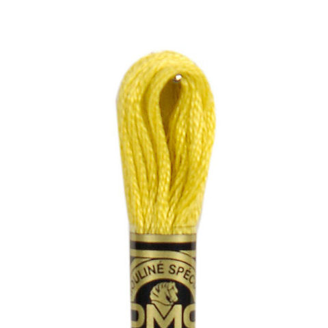 DMC 6 strand embroidery floss mouline 117 18 yellow plum