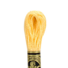 DMC 6 strand embroidery floss mouline 117 19 medium light autumn gold