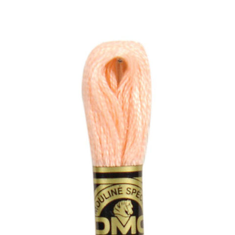 DMC 6 strand embroidery floss mouline 117 20 shrimp