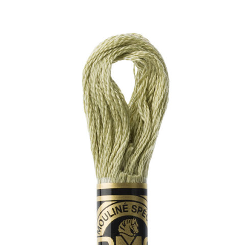 DMC 6 strand embroidery floss mouline 117 3013 Light Khaki Green