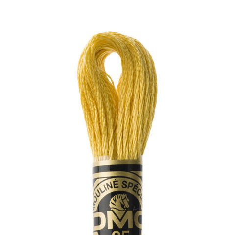 DMC 6 strand embroidery floss mouline 117 3821 Straw