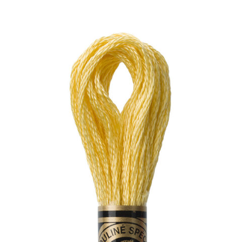 DMC 6 strand embroidery floss mouline 117 3822 Light Straw