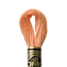DMC 6 strand embroidery floss mouline 117 3825 Pale Pumpkin