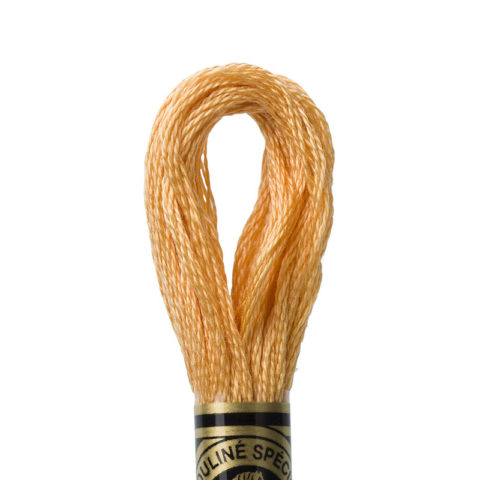DMC 6 strand embroidery floss mouline 117 3827 Pale Golden Brown