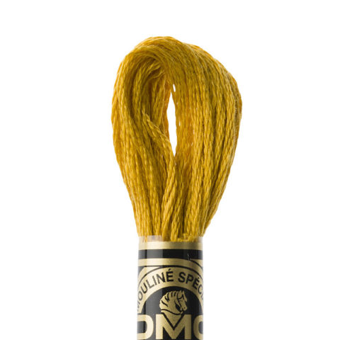 DMC 6 strand embroidery floss mouline 117 3852 Very Dark Straw