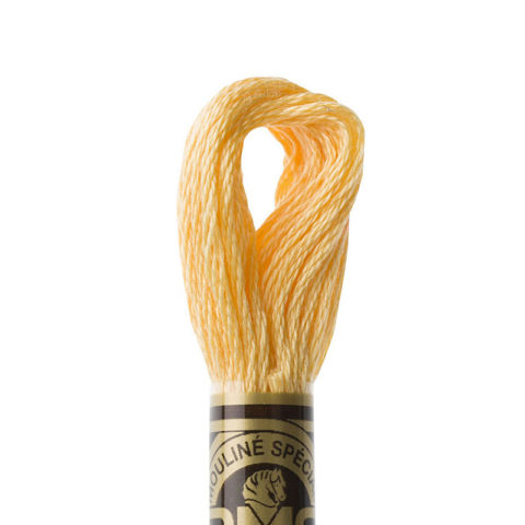 DMC 6 strand embroidery floss mouline 117 3855 Light Autumn Gold