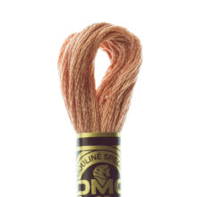 DMC 6 strand embroidery floss mouline 117 407 dark desert sand
