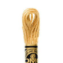 DMC 6 strand embroidery floss mouline 117 422 light hazelnut brown