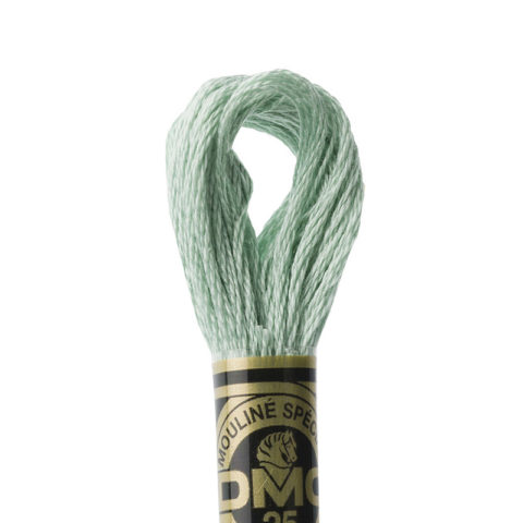 DMC 6 strand embroidery floss mouline 117 504 Very Light Blue Green