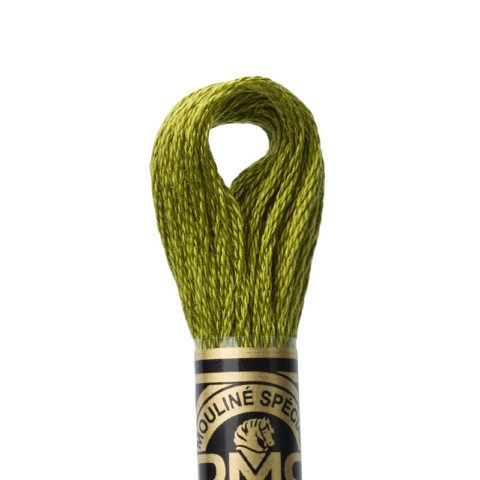 DMC 6 strand embroidery floss mouline 117 580 Dark Moss Green