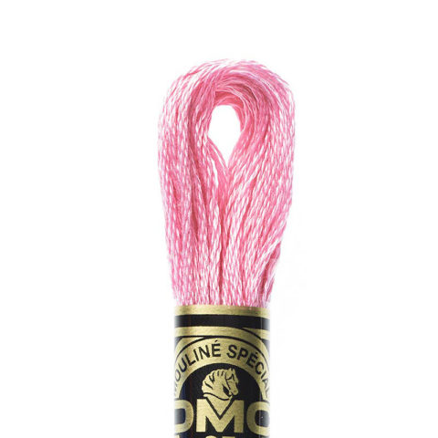 DMC 6 strand embroidery floss mouline 117 604 Light Cranberry