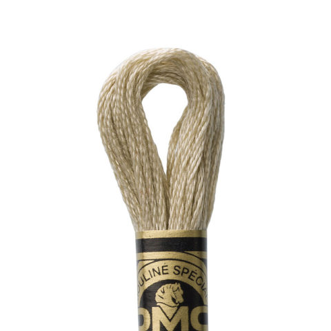 DMC 6 strand embroidery floss mouline 117 613 Very Light Drab Brown