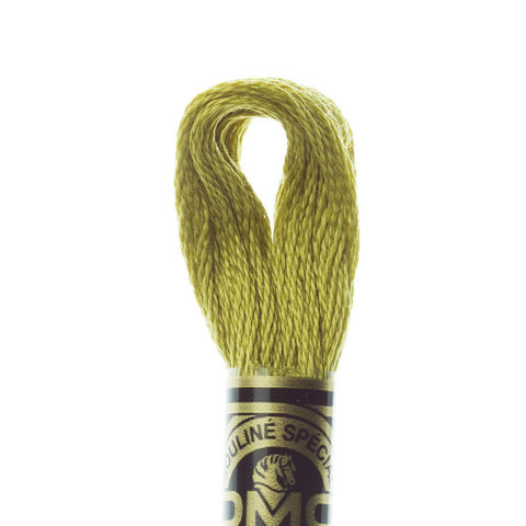 DMC 6 strand embroidery floss mouline 117 733 Medium Olive Green