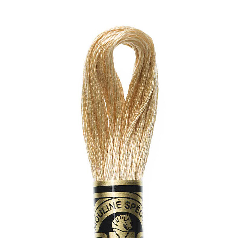 DMC Embroidery Floss, 6-Strand Special Thread - Dark Gold #E3852 in 2023