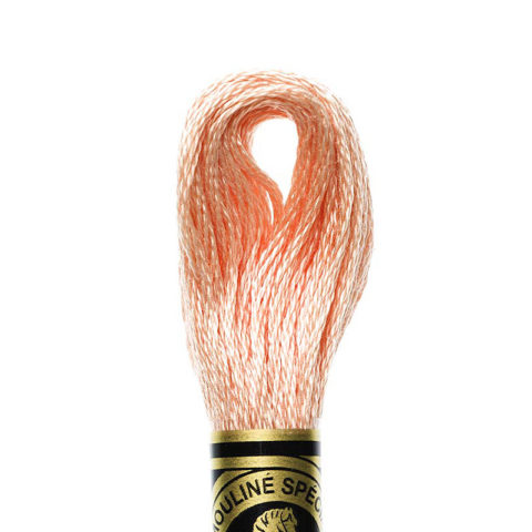 DMC 6 strand embroidery floss mouline 117 754 Light Peach
