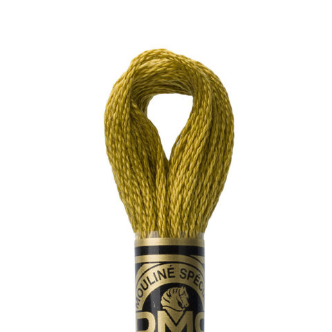 DMC 6 strand embroidery floss mouline 117 832 Golden Olive