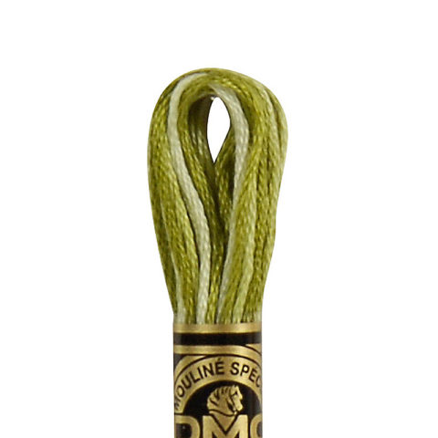 DMC 6 strand embroidery floss mouline 117 94 variegated khaki green