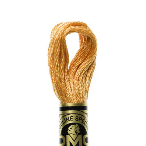 DMC 6 strand embroidery floss mouline 117 977 Light Golden Brown