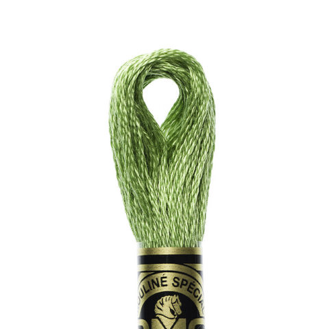 DMC 6 strand embroidery floss mouline 117 989 Forest Green