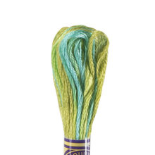 DMC 6 strand embroidery floss mouline 417 4050 Color Variations Roaming Pastures