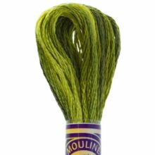 DMC 6 strand embroidery floss mouline 417 4066 Color Variations Amazon Moss