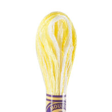DMC 6 strand embroidery floss mouline 417 4077 Color Variations Morning Sunshine