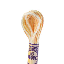 DMC 6 strand embroidery floss mouline 417 4090 Color Variations Golden Oasis
