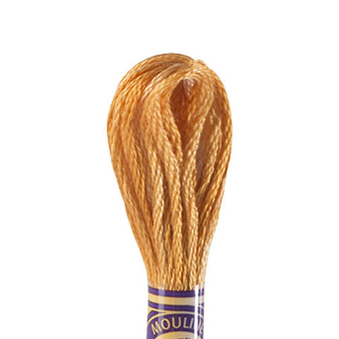 DMC 6 strand embroidery floss mouline 417 4128 Color Variations Gold Coast