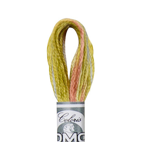 DMC 6 strand embroidery floss mouline 517 4508 Coloris Frosted Countrywide