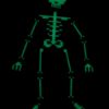 Glow in the dark Cross stitch skeleton jointed hanging decoration