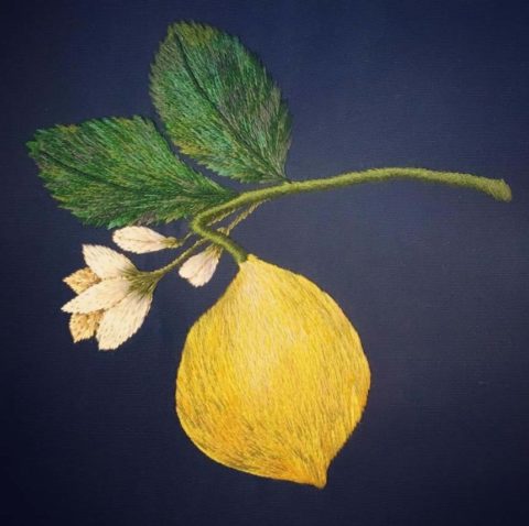 embroidery of a lemon on a branch on dark blue silk