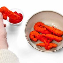 all you can stitch shrimp elba embroidery lauren yeager lt