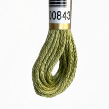 anchor cotton embroidery floss 843 fern green