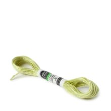 a skein of au ver a soie dalger 242 vert pre light green silk embroidery thread on a white background