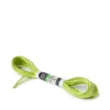 au ver a soie d'alger 243 vert pre silk embroidery thread