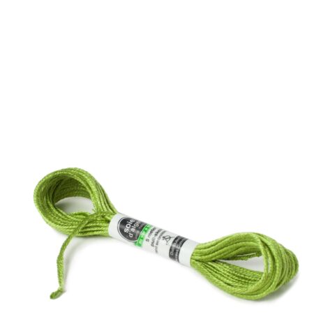 au ver a soie d'alger 245 vert pre silk embroidery thread