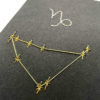 capricorn astrology zodiac constellation and symbol embroidered notebook