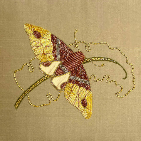 A moth embroidered using gold, silver, and copper threads on beige silk