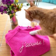 j'accuse embroidered on a bright pink sweater being pawed by an orange cat