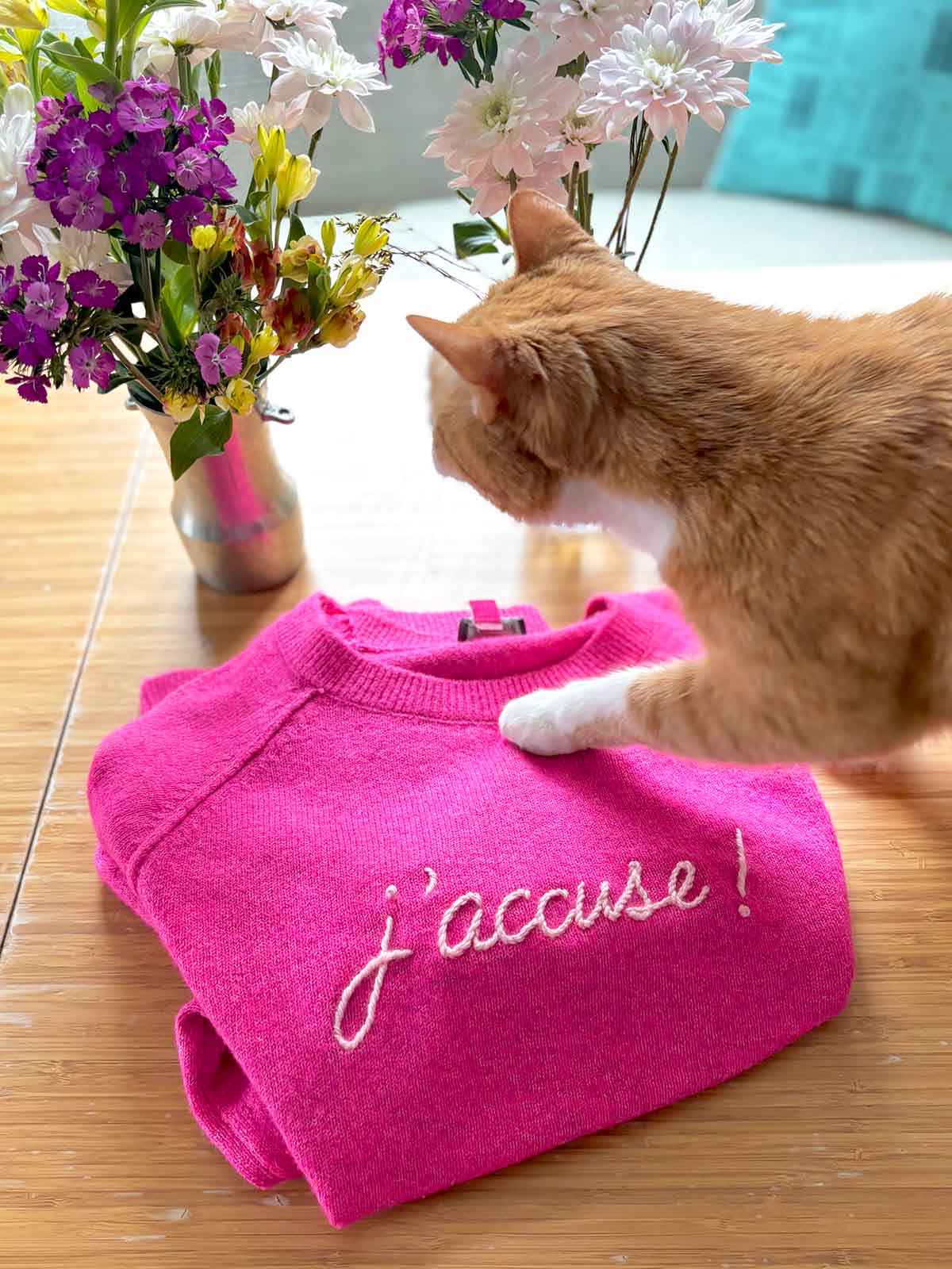 j'accuse embroidered on a bright pink sweater being pawed by an orange cat