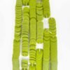 langlois martin porcelaine satin cellulose french couture sequins paillettes cuvettes chartreuse