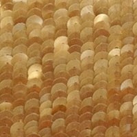 Rows of light brown sequins overlapping like fish scales