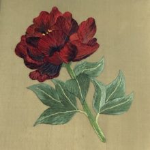 a deep red peony with green stem and leaves embroidered on a beige silk background