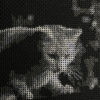 Closeup of a white cat looking down from a garden fence at night stitched in grayscale on black fabric